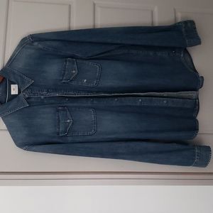 Adriano Goldschmied Distressed Blue